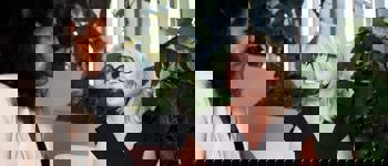 Gesprek Op Stoelen Bij Plant