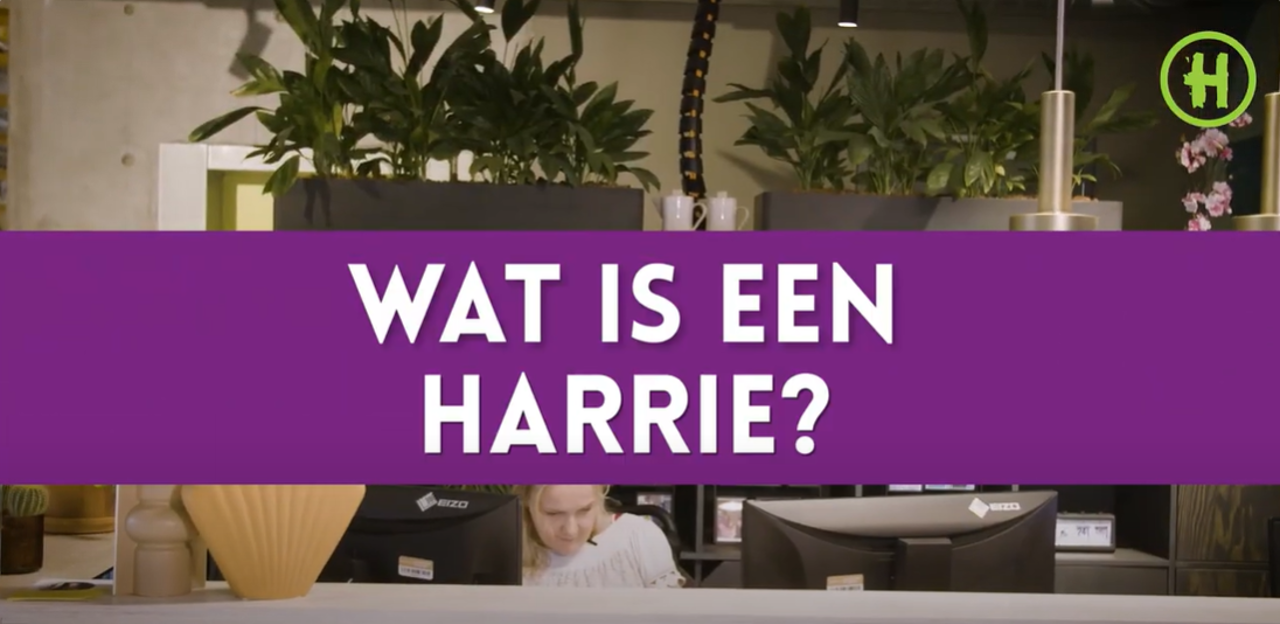 Wat is een Harrie Helpt training
