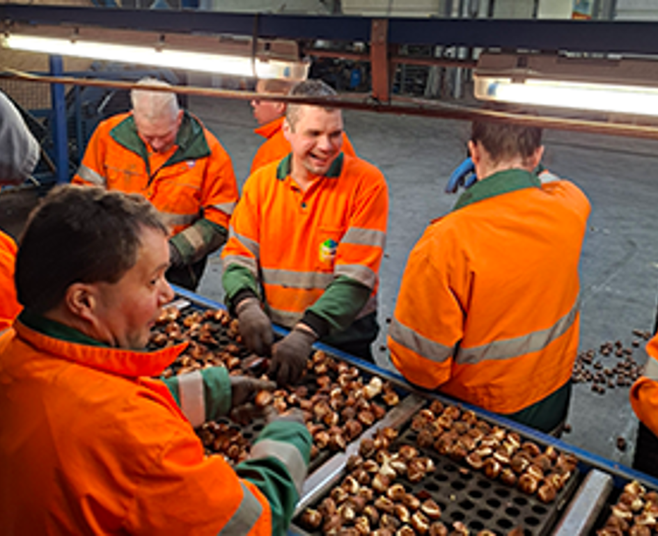 Topper Ricardo aan het werk